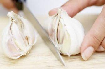 Часник відомий своїми протиінфекційними властивостями