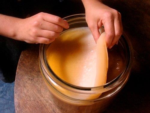 Ще одним домашнім методом від грибка є чайний гриб