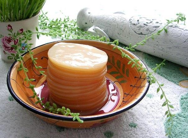 Чайний гриб відомий антибактеріальною дією